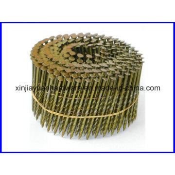 Meilleur Price Galvanized Coil Roofing Nail for Sale